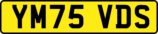 YM75VDS