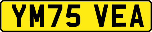 YM75VEA
