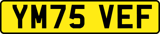 YM75VEF