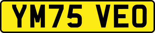 YM75VEO
