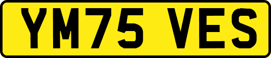 YM75VES