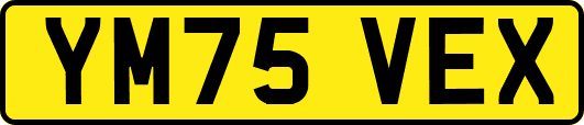 YM75VEX