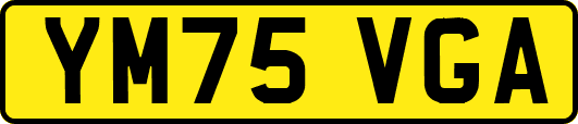 YM75VGA