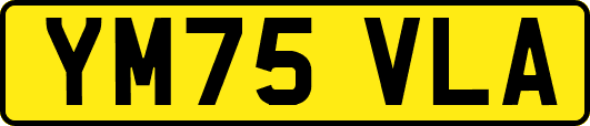 YM75VLA