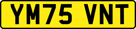 YM75VNT