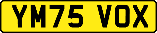 YM75VOX