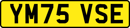 YM75VSE