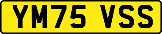YM75VSS