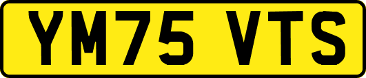YM75VTS