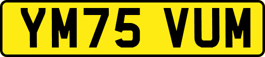 YM75VUM