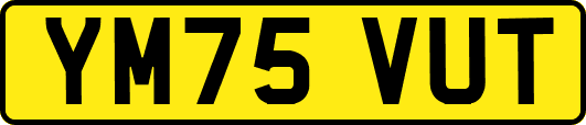 YM75VUT