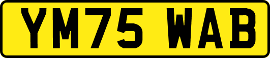 YM75WAB