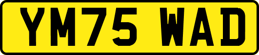 YM75WAD