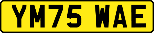 YM75WAE