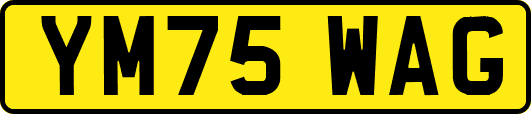 YM75WAG