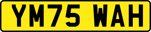 YM75WAH