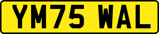 YM75WAL