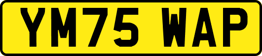 YM75WAP