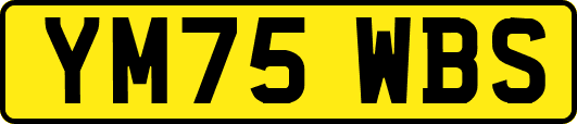 YM75WBS