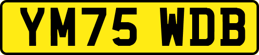 YM75WDB