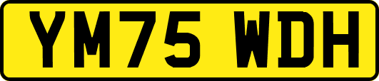 YM75WDH