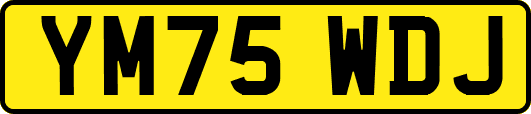 YM75WDJ