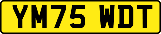 YM75WDT