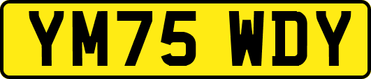 YM75WDY