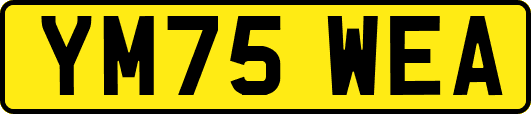 YM75WEA