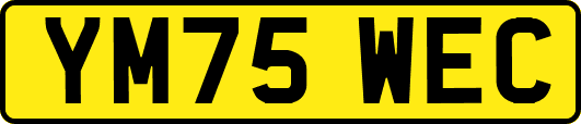 YM75WEC