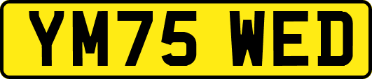 YM75WED
