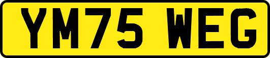 YM75WEG