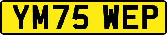 YM75WEP