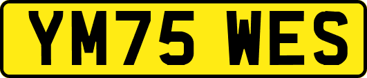 YM75WES