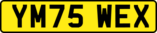 YM75WEX