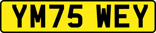 YM75WEY