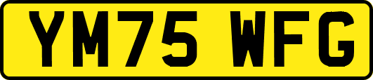 YM75WFG