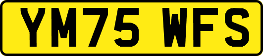 YM75WFS