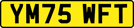 YM75WFT