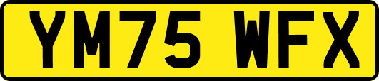 YM75WFX