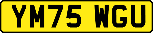 YM75WGU