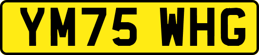 YM75WHG
