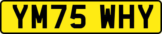 YM75WHY