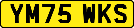YM75WKS