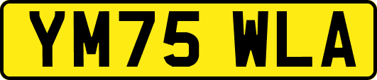 YM75WLA