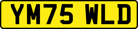 YM75WLD