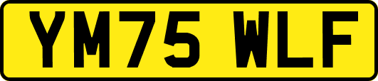 YM75WLF