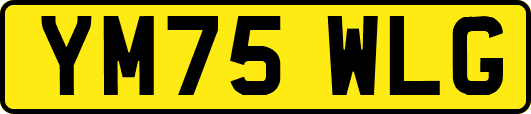 YM75WLG