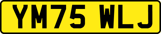 YM75WLJ