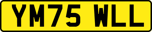 YM75WLL